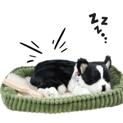 Realistický dýchací pejsek 25cm Perfect Petzzz - Bostonský teriér