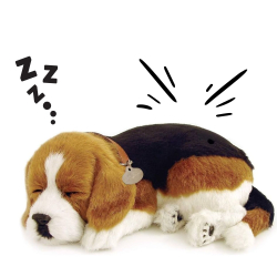 Realistický dýchací pejsek 25cm Perfect Petzzz - Beagle