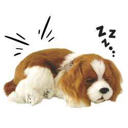 Realistický dýchací pejsek 25cm Perfect Petzzz - Kavalír King Charles Španěl
