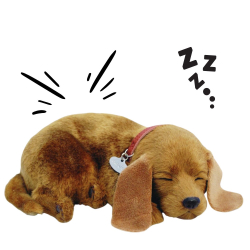 Realistický dýchací pejsek 25cm Perfect Petzzz - Jezevčík